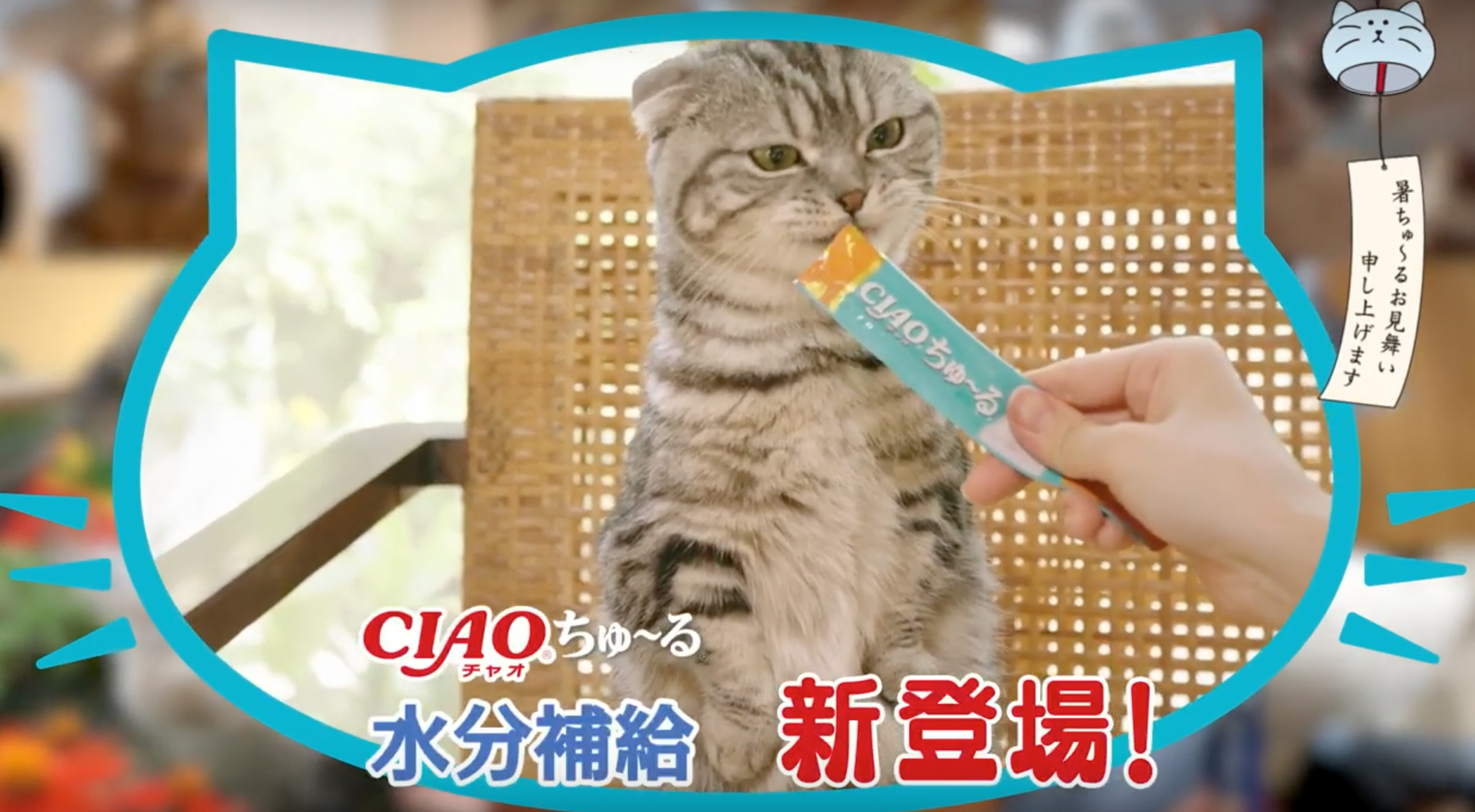 CIAO水分補給ちゅ〜るCM