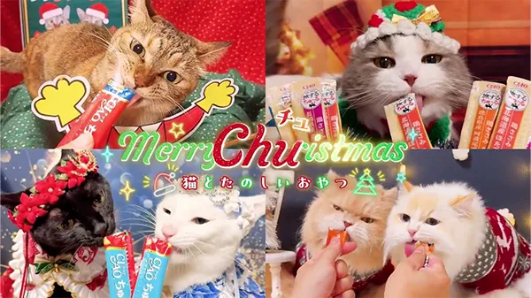 2025年 クリスマス篇 Part1