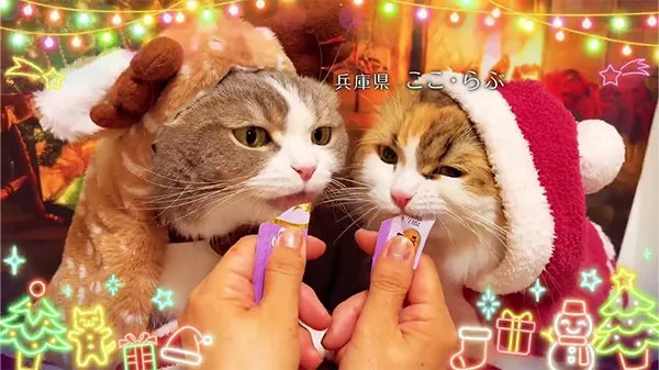 2025年 クリスマス篇 Part1