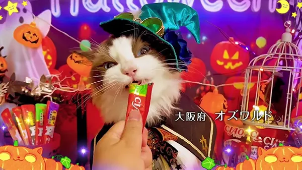 2025年 ハロウィーン篇 Part1