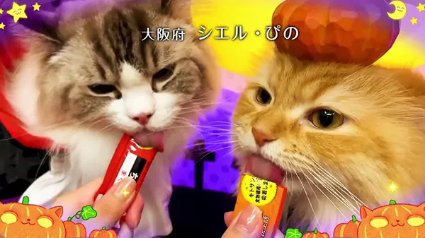 2025年 ハロウィーン篇 Part2