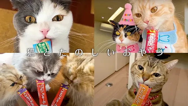 CIAOちゅ～る 2025年度 Part 2