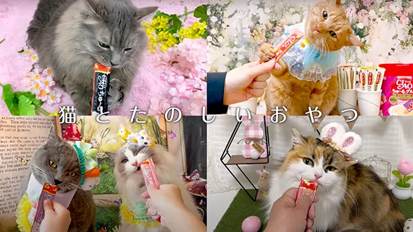 CIAOちゅ～る 2025年度 Part 5